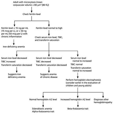 low mch blood test